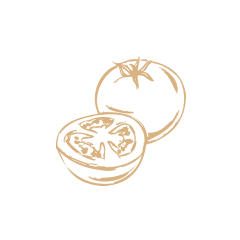 Fresh Products Illustration Hover